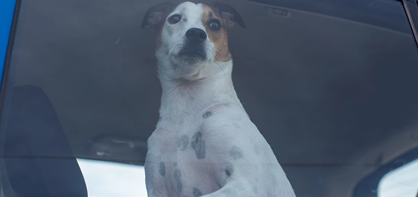 Car Lockout Solutions in Placerville, California